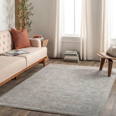Livabliss Artistic Weavers Pashe Vintage Distressed Area Rug