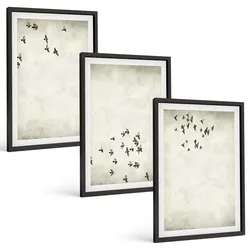 BILDER SET 3er Set - 40x60 cm Schwarzer Rahmen - Minimalistische Vogelmalerei