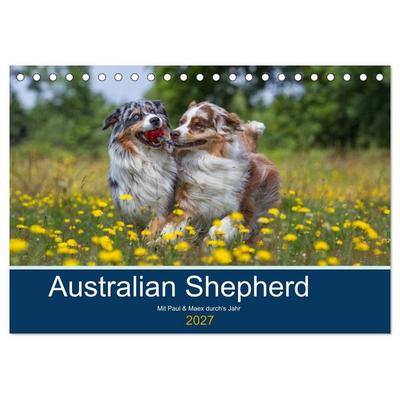 Australian Shepherd 2027 (Tischkalender 2027 DIN A5 quer), CALVENDO Monatskalender