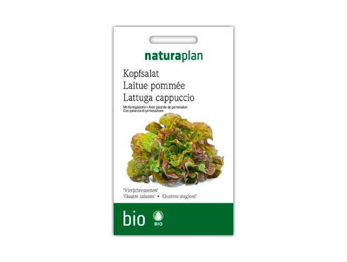 Naturaplan Bio-Kopfsalat Vierjahreszeiten