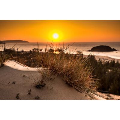 Fototapete PAPERMOON "Strand Sonnenuntergang", bunt, B:3,5m L:2,6m, Vlies, Tapeten