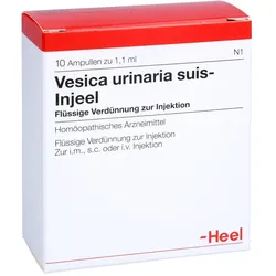 Vesica Urinaria suis-Injeel Ampullen