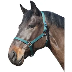 ELDORADO Pferde-Halfter Standard - grün - Pony