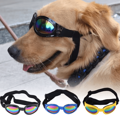 Inspire Picks Foldable Pet Sunglasses For Dogs & Cats Outdoor UV Protection Dog Glasses yellow