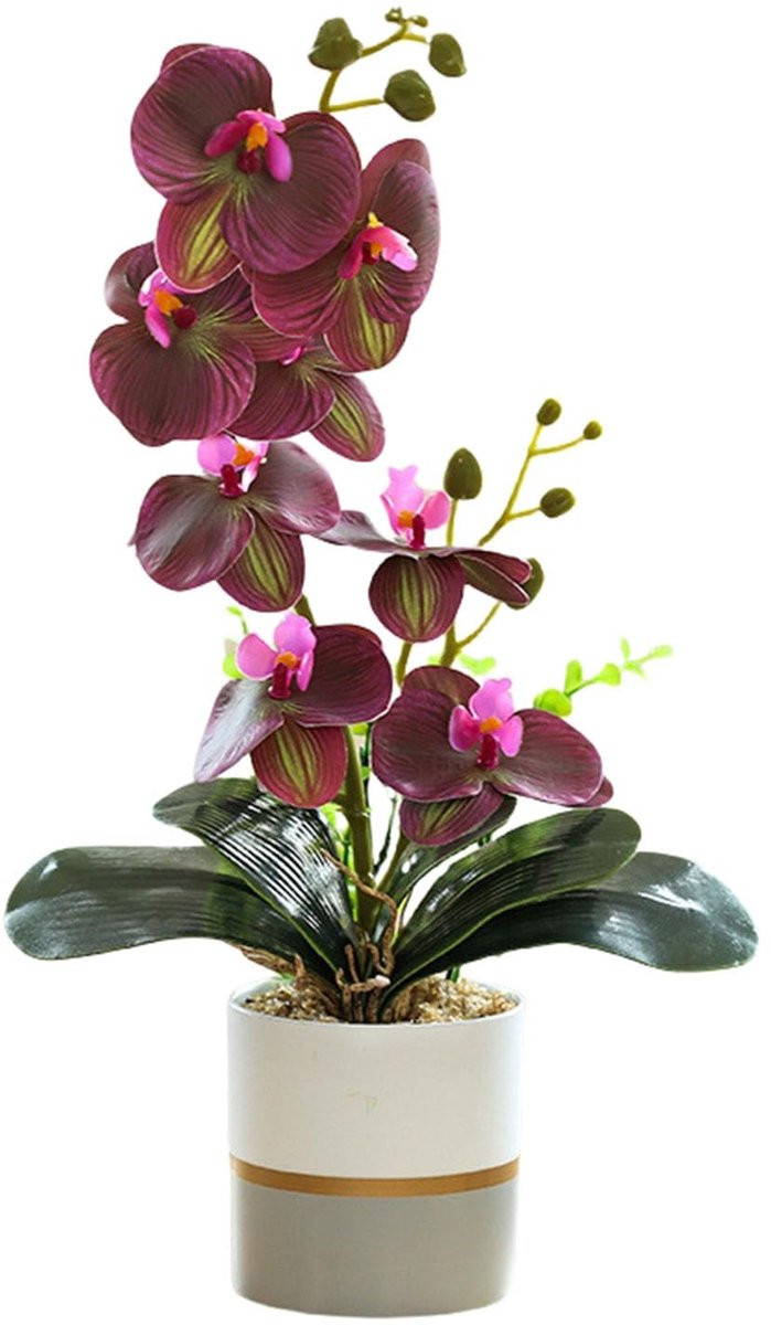 Kunstmatige Tweeledige Phalaenopsis Orchidee in Pot - Geel en Rood