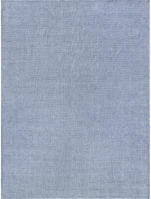 EXQUISITE RUGS Bali Indoor/Outdoor Flatweave PET yarn Light Blue Area Rug.