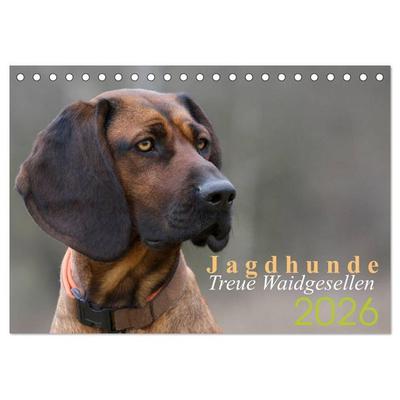 Jagdhunde - Treue Waidgesellen (Tischkalender 2026 DIN A5 quer), CALVENDO Monatskalender