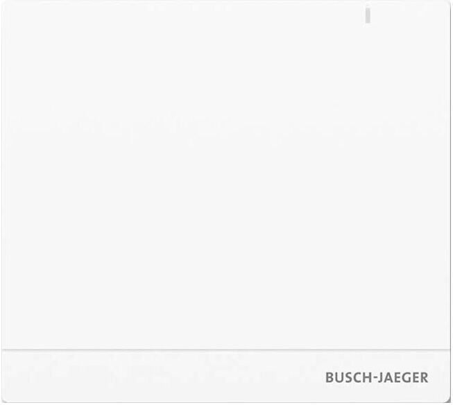 Busch-Jaeger Point d’accès sans fil System Access Point 2.0 SAP/S.13 (2CKA006200A0154)