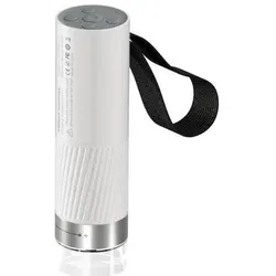 BeaverLab BeaverLab DDL-M1