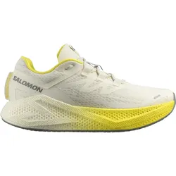 Salomon Herrenlaufschuhe Aero Glide 3 - hellgrau / 46
