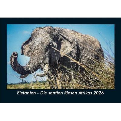 Elefanten - Die sanften Riesen Afrikas 2026 Fotokalender DIN A5