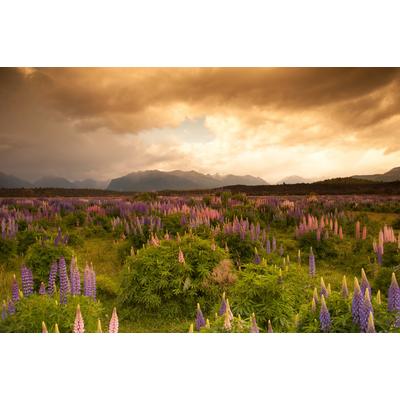 Fototapete PAPERMOON "GEBIRGE-FLUSS SEE BERGE WALD HIMMEL BACH WIESE BLUMEN", bunt, B:3m L:2,23m, Vlies, Tapeten