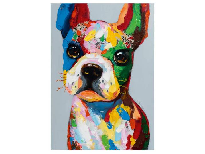 Bild Lustiger Bunter Hund image LAND