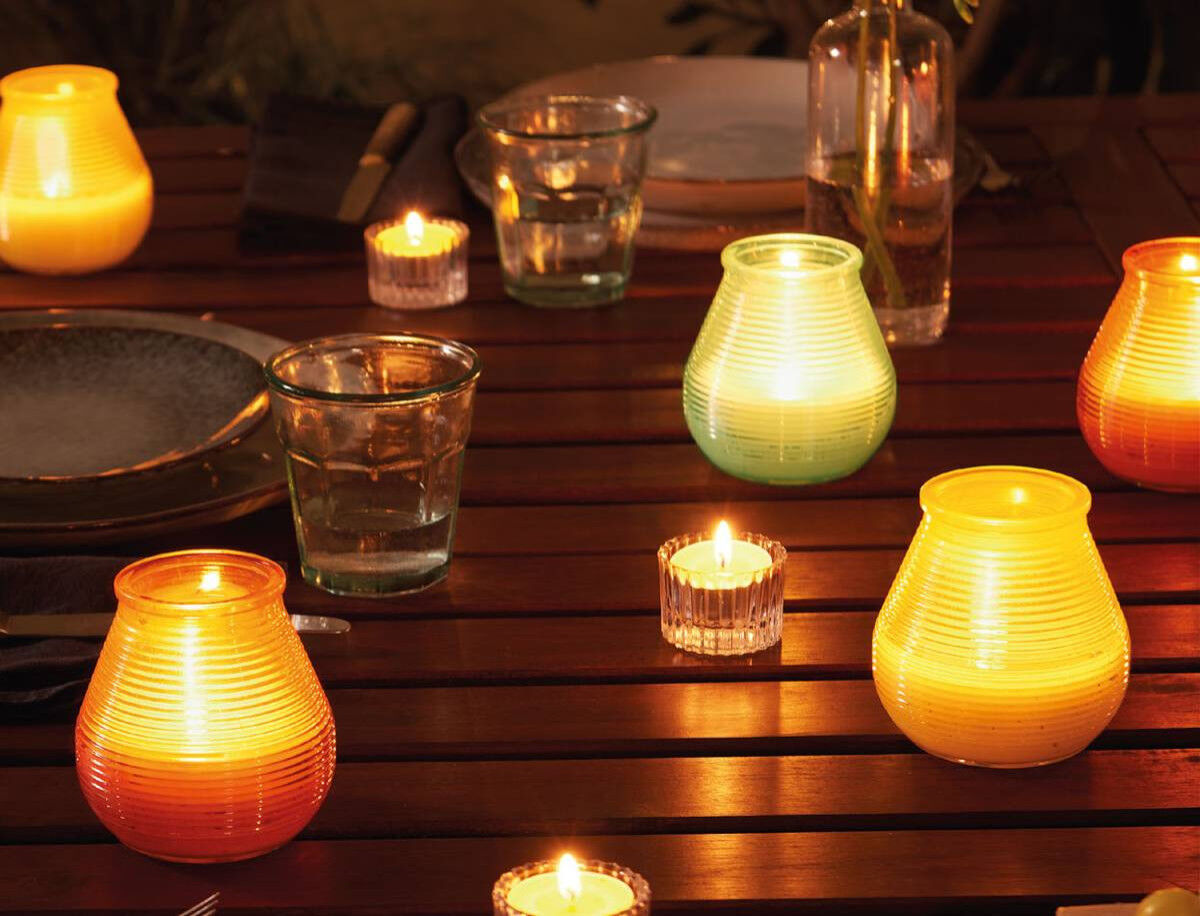 Bolsius Maxi-Lichte Citronella 8er Pack