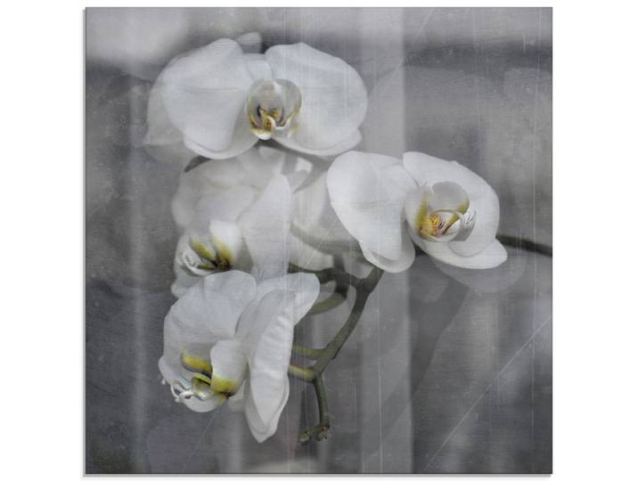 Glasbild ARTLAND Weisse Orchideen - white Orchid , schwarz (farbe bild(er): schwarz), B:30cm H:30cm, Bilder, Glasbild, in verschiedenen Grössen