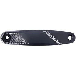 Truvativ Kurbel Descendant 6k Eagle 175 mm schwarz