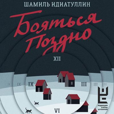 Boyatsya pozdno - Shamil Idiatullin, Audio, 9785171695729