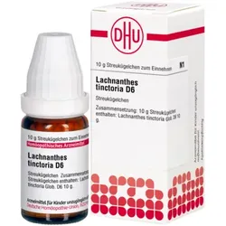 LACHNANTHES tinctoria D 6 Globuli 10 g