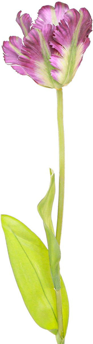 Viana Kunstbloem Papegaaitulp Paars 63 cm