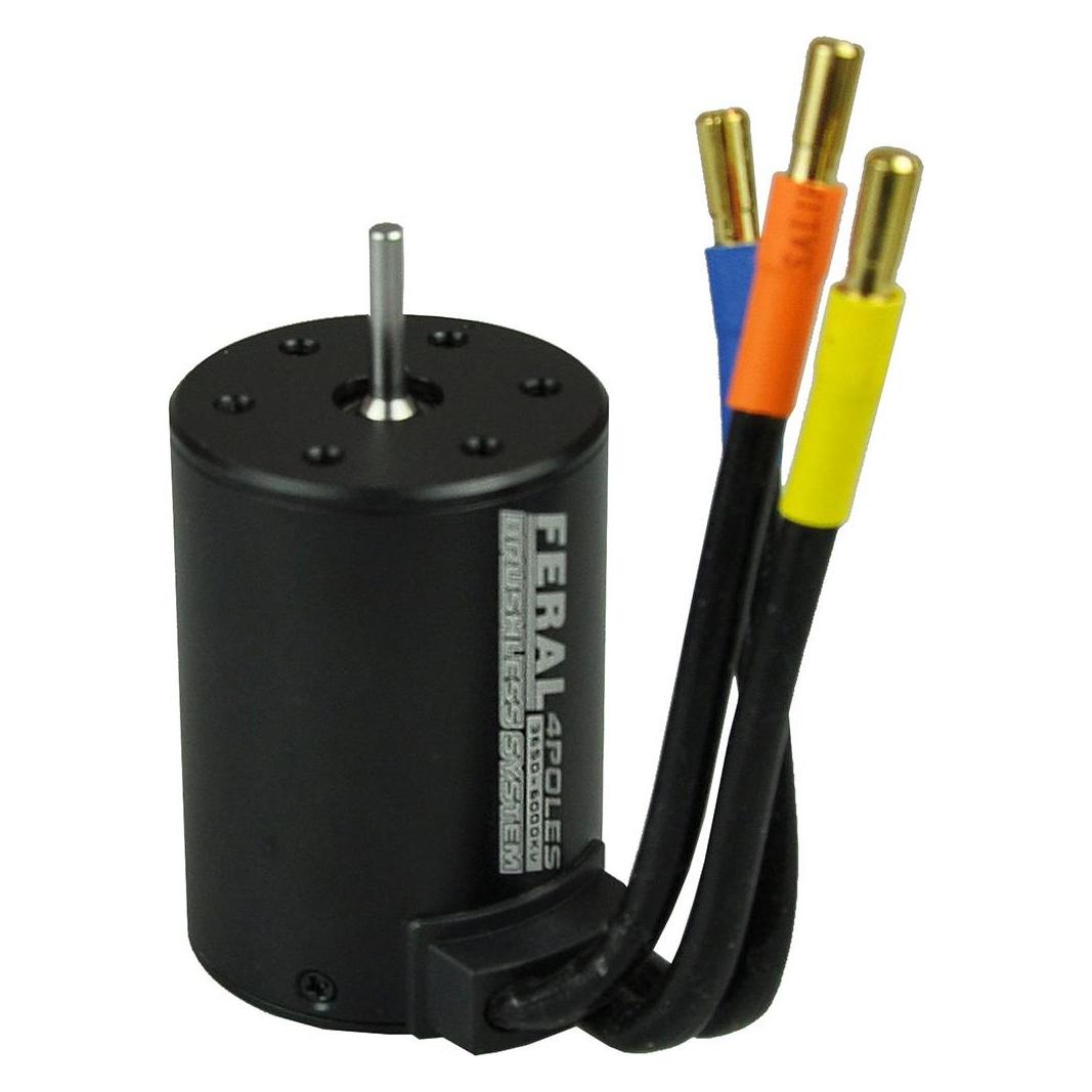 Amewi Brushless Motor 3650 6000KV (39884312)