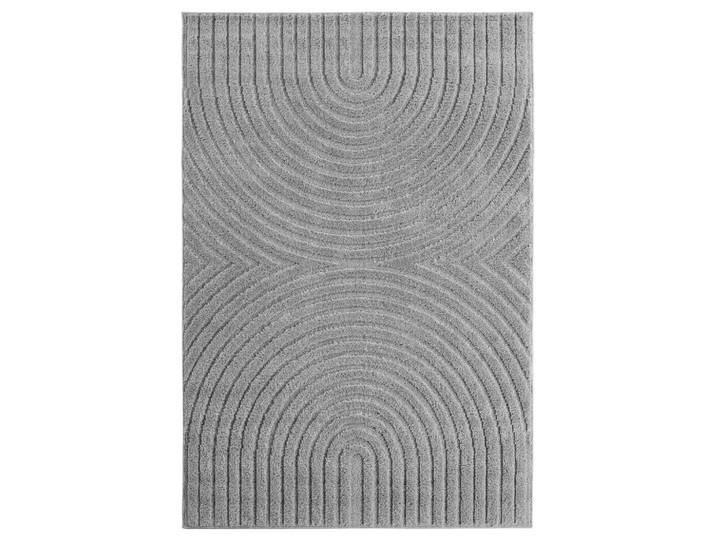 Ayyildiz Flachwebeteppich Art, Silberfarben, Boho, rechteckig, 160x230 cm, für Fußbodenheizung geeignet, lichtunempfindlich, pflegeleicht, strapazierfähig, leicht zusammenrollbar, Teppiche und Böden, Teppiche, Moderne Teppiche