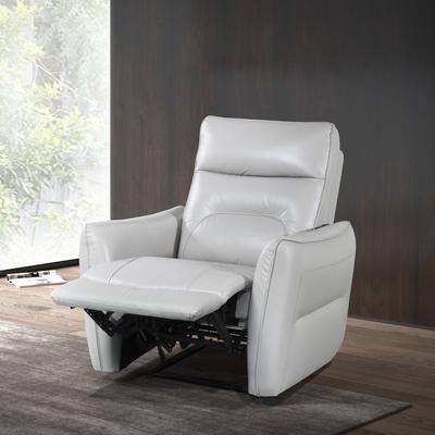 Furniture of America Gemono Modern Leather Match Power Recliner