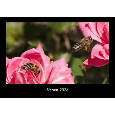 Bienen 2026 Fotokalender DIN A3
