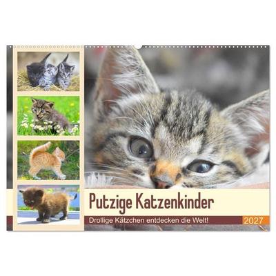 Putzige Katzenkinder. Drollige Kätzchen entdecken die Welt! (Wandkalender 2027 DIN A2 quer), CALVENDO Monatskalender