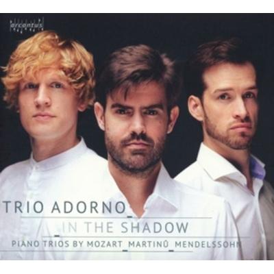 In the Shadow - Trio Adorno, CD
