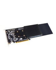 Sonnet Fusion SSD M.2 4x4 PCIe Karte (FUS-SSD-4X4-E3S)