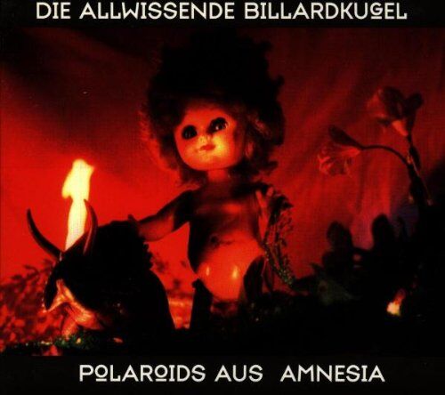 die Allwissende Billardkugel - Polaroids aus Amnesia - Preis vom 11.10.2026 03:10:56 h