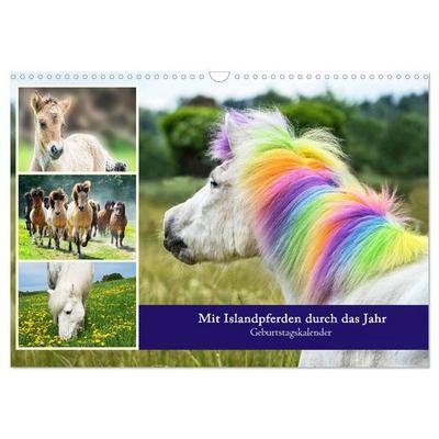 Mit Islandpferden durch das Jahr Geburtstagskalender (Wandkalender 2026 DIN A3 quer), CALVENDO Monatskalender