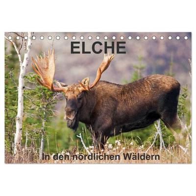 ELCHE In den nördlichen Wäldern (Tischkalender 2026 DIN A5 quer), CALVENDO Monatskalender
