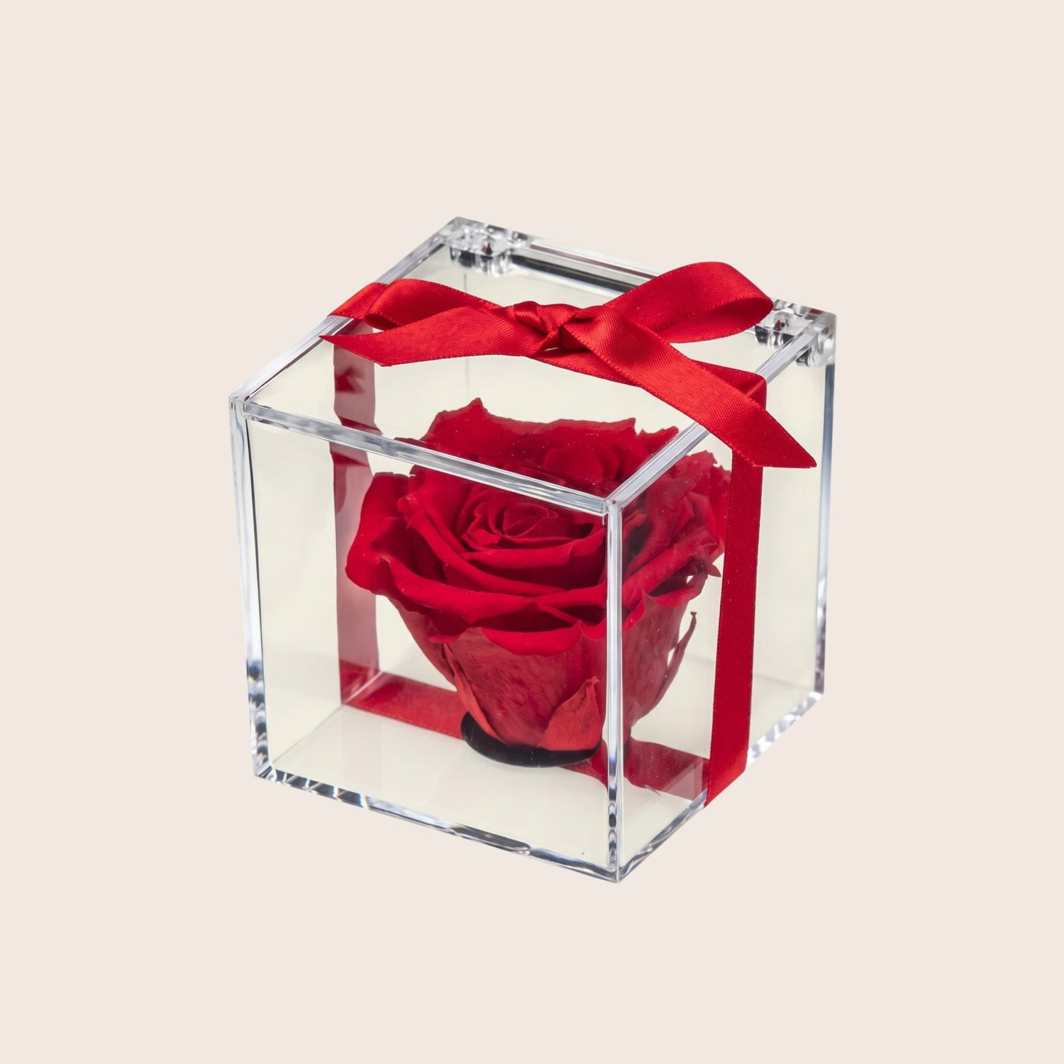 Charle Roses Crystal Houdbare Roos in Transparante Kubus - Longlife Roos