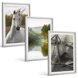 BILDER SET 3er Set - 40x60 cm Silberner Rahmen - Natur des Flusses White Horses