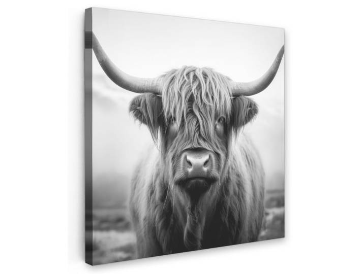 LEINWANDBILD Schottischer Highlander - Nebel - Schwarz - Weiß Wandbild Wohnzimmer 50x50 cm