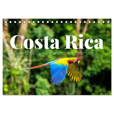 Costa Rica - exotische Tierwelt und unberührte Natur (Tischkalender 2027 DIN A5 quer), CALVENDO Monatskalender