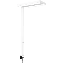 Maul, Tischlampe, MAULjuvis Schreibtischlampe weiss mit Tischklemme