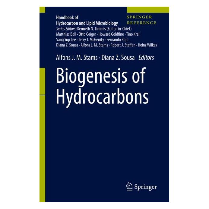 Springer Biogenesis of Hydrocarbons (Englisch, Hardcover, Alfons J. M. Stams, Diana Z. Sousa) (66439849)