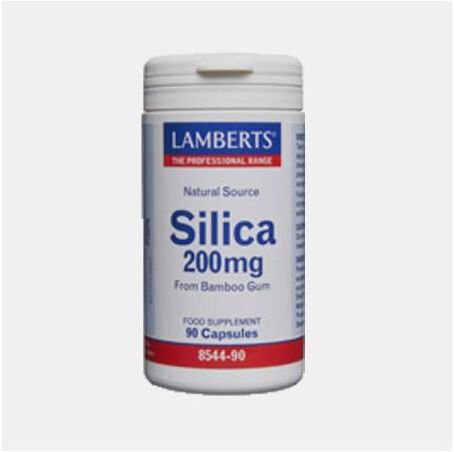LAMBERTS SILICA 200mg 90 CAPSULAS