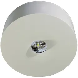 RP-Technik Sicherheitsleuchte ILDL423WL