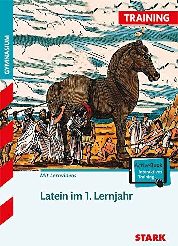 Training Gymnasium - Latein im 1. Lernjahr - Preis vom 11.10.2026 03:10:56 h