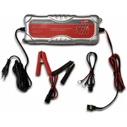 HP Autozubehör, Autobatterie Ladegerät, Automatisches, mikroprozessor-gesteuertes Ladegerät (10 A, 12V, 24V)