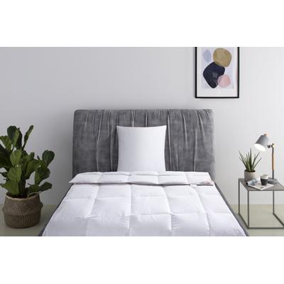 Daunenbettdecke + Kopfkissen RIBECO "Richard, Bettwaren-Set in 135x200 oder 155x220 cm, Sommer oder Winter", weiß, B/L: 155cm x 220cm Anzahl Teile 1, B/L: 80cm x 80cm Anzahl Teile 1, Bezug: Baumwolle Füllung: Entendaune/-feder, leicht, Bettdecken...