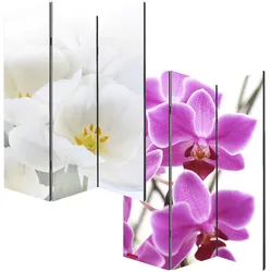 Foto-Paravent Paravent Raumteiler Spanische Wand Bagheria ~ 180x120cm, Orchidee
