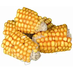 Trixie Maiskolbenstücke, 300 g