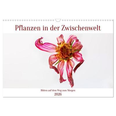 Pflanzen in der Zwischenwelt (Wandkalender 2026 DIN A3 quer), CALVENDO Monatskalender
