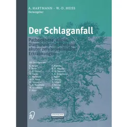 Der Schlaganfall, Fachbücher