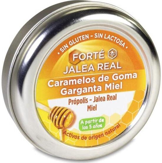 Forte Pharma Forté Pharma Forté Caramelos Goma Miel 45 caramelos
