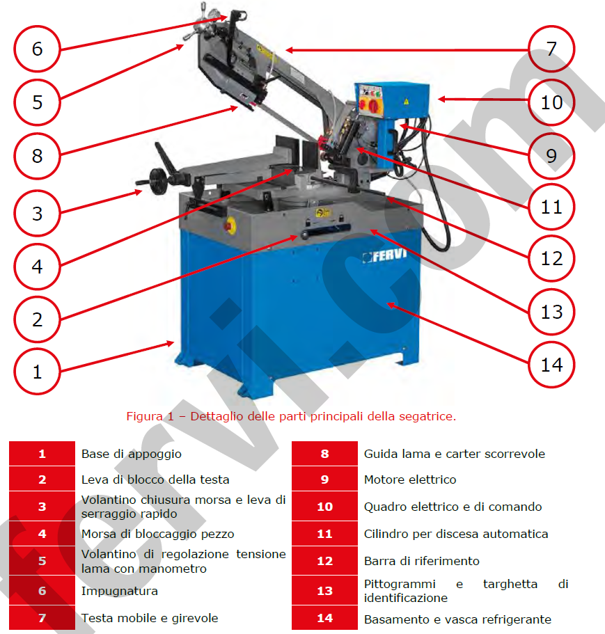 Fervi 0230 Segatrice a nastro a discesa manuale e idraulica gravitazionale 400V 1500Wtaglio tondo max 250 mm
